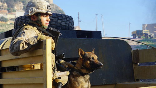 <a class='seoclass' href='/phim/megan-leavey-740' title='Xem phim Megan Leavey'>Megan Leavey</a> - <a class='seoclass' href='/phim/megan-leavey-740' title='Xem phim Hạ Sĩ Megan'>Hạ Sĩ Megan</a> - Hình 1