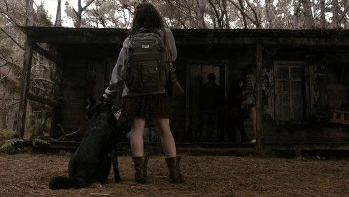 Evil Dead - Ma Cây - Hình 1