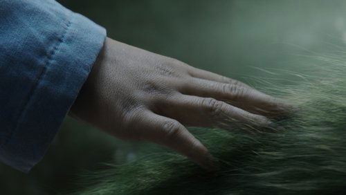 Pete's Dragon - Pete Và Người Bạn Rồng - Hình 1