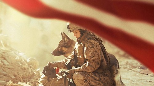 Megan Leavey - Hạ Sĩ Megan - Hình 6