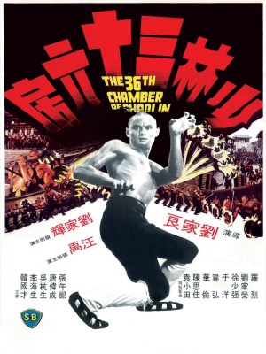 Xem phim The 36th Chamber of Shaolin - Thiếu Lâm Tam Thập Lục Phòng 1978 Full HD Vietsub