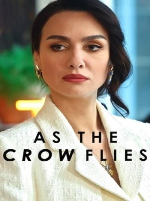 Xem phim As the Crow Flies Season 3 - Đôi Cánh Tham Vọng (Mùa 3) 2024 Full HD Vietsub
