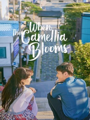 Xem phim When the Camellia Blooms - Khi Hoa Trà Nở 2019 Full HD Vietsub