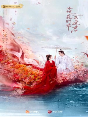 Xem phim Love Never Fails - Mùa Hoa Rơi Gặp Lại Chàng 2025 Full HD Vietsub