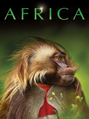 Xem phim Africa - Châu Phi 2013 Full HD Vietsub