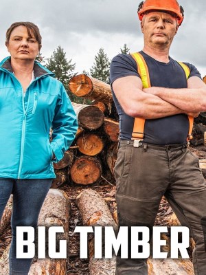Xem phim Big Timber Season 2 - Gỗ Lớn (Mùa 2) 2021 Full HD Vietsub
