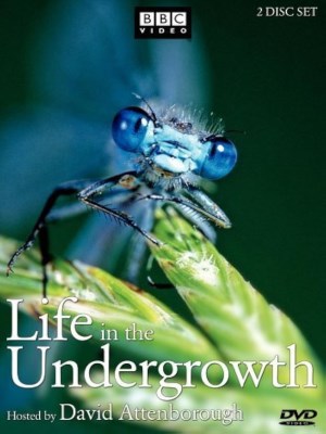 Xem phim Life in the Undergrowth - Thế Giới Côn Trùng 2005 Full HD Vietsub