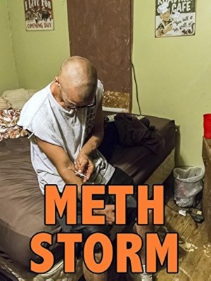 Xem phim Meth Storm - Cơn Bão Ma Túy Đá 2017 Full HD Vietsub