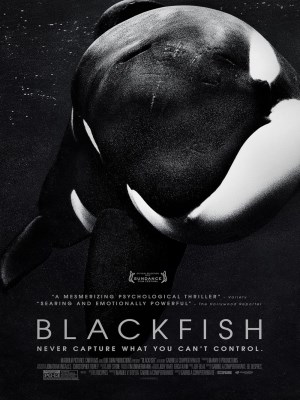 Xem phim Blackfish - Cá Voi Sát Thủ Đen 2013 Full HD Vietsub