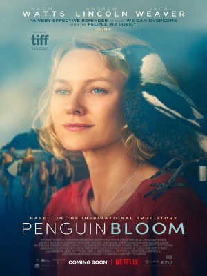 Xem phim Penguin Bloom - Cánh Cụt Nhà Bloom 2020 Full HD Vietsub