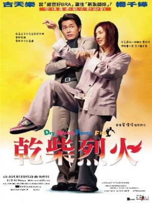 Xem phim Dry Wood Fierce Fire - Thiện Nam Võ Nữ 2002 Full HD Vietsub