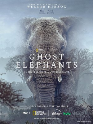 Xem phim Ghost Elephants - Voi Ma 2025 Full HD Vietsub