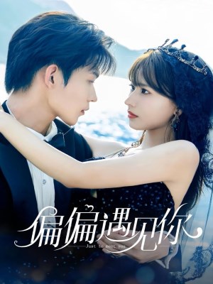 Xem phim Just to Meet You - Cứ Thế Mà Gặp Em 2026 Full HD Vietsub