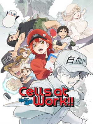 Xem phim Cells At Work! Season 1 - Khi Các Tế Bào Làm Việc (Mùa 1) 2018 Full HD Vietsub