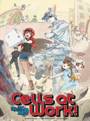 Xem phim Cells At Work! Season 2 - Khi Các Tế Bào Làm Việc (Mùa 2) 2018 Full HD Vietsub