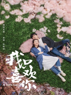 Xem phim Le Coup De Foudre - Anh Chỉ Thích Em 2019 Full HD Vietsub