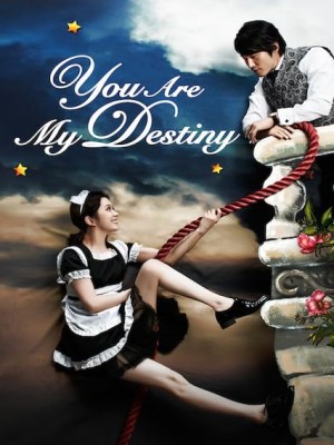 Xem phim You are My Destiny - Định Mệnh Anh Yêu Em 2014 Full HD Vietsub