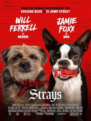 Xem phim Strays - Những Chú Chó Bụi Đời 2023 Full HD Vietsub