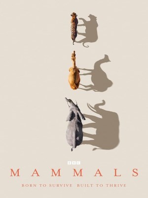 Xem phim Mammals - Mammals 2024 Full HD Vietsub