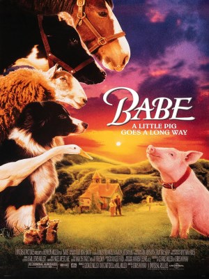 Xem phim Babe - Chú Heo Chăn Cừu 1995 Full HD Vietsub