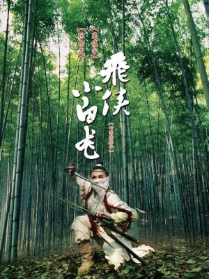 Xem phim The White Dragon - Phi Hiệp Tiểu Bạch Long 2004 Full HD Vietsub