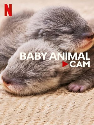 Xem phim Baby Animal Cam - Động Vật Bé Cưng Trên Camera 2023 Full HD Vietsub