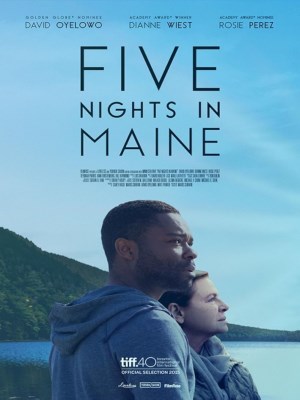 Xem phim Five Nights in Maine - Năm Đêm Ở Maine 2015 Full HD Vietsub