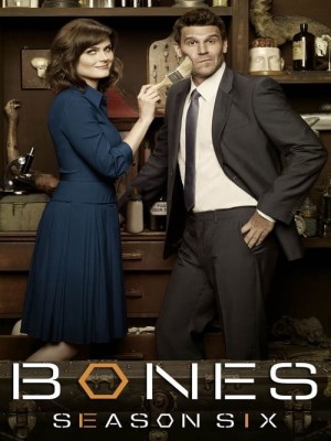 Xem phim Bones Season 6 - Hài Cốt (Mùa 6) 2010 Full HD Vietsub