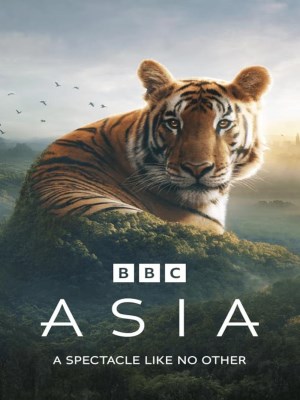 Xem phim Asia - Châu Á 2024 Full HD Vietsub