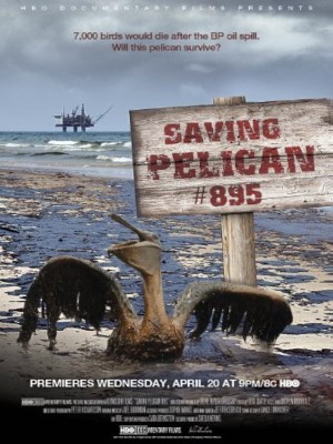Xem phim Saving Pelican 895 - Giải Cứu Chú Bồ Nông Thứ 895 2011 Full HD Vietsub
