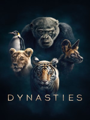Xem phim Dynasties online