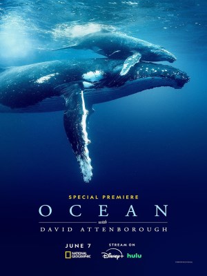 Xem phim Đại Dương Với David Attenborough online