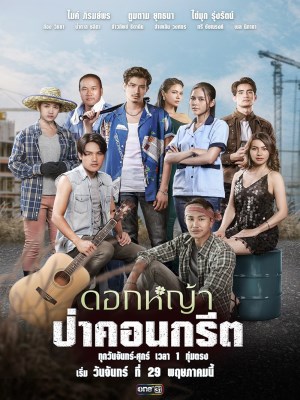 Một Bông Hoa Dại Trong Thành Phố
