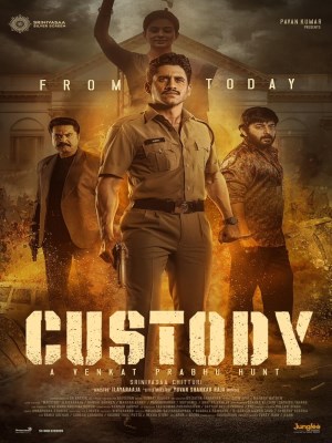 Xem phim Custody online