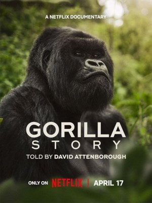 Xem phim Hành Trình Của Khỉ Đột – Qua Giọng Kể David Attenborough online
